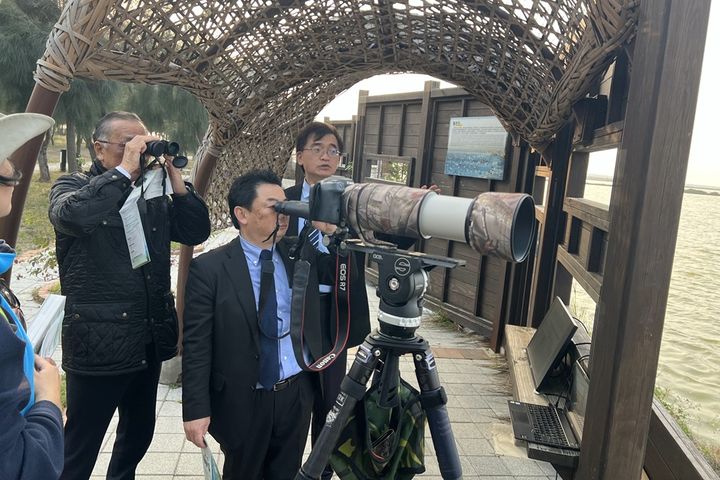 ▲出水市長及鶴博物館館長於布袋濕地新岑公園賞鳥。　圖：雲嘉南濱海國家風景區管理處／提供