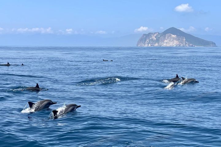 宜蘭龜山島03/01起開放登島。　圖：東北角及宜蘭海岸國家風景區管理處／提供 