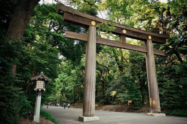 ▲東京5日迷你團，提供超人氣富士山、慢活輕井澤、箱根及日光等多條經典路線選配。　圖：KKday／提供