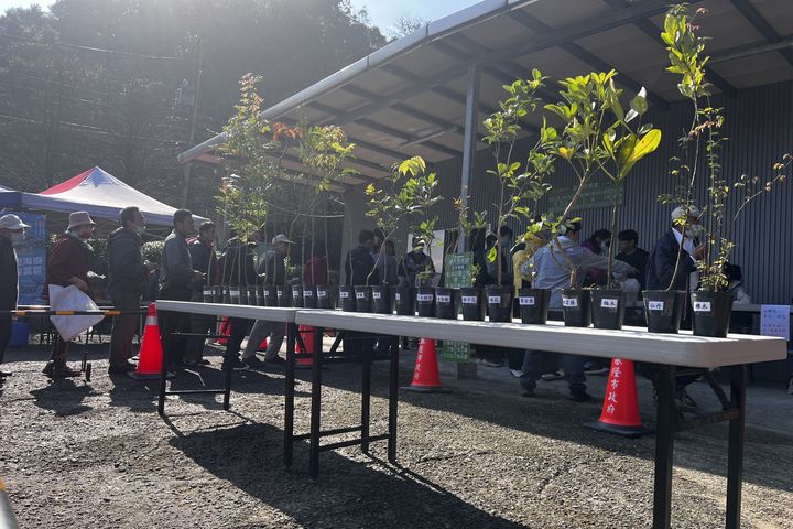 ▲植樹月提供26種苗木種類供民眾換領。　圖：基隆市政府產業發展處／提供。　