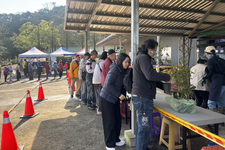植樹月民眾兌換苗木每人限領3株。　圖：基隆市政府產業發展處／提供