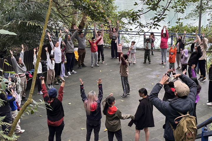 ▲專業舞者帶領參與者透過身體肢體遊戲律動與山林互動。　圖：新北市政府觀光旅遊局／提供