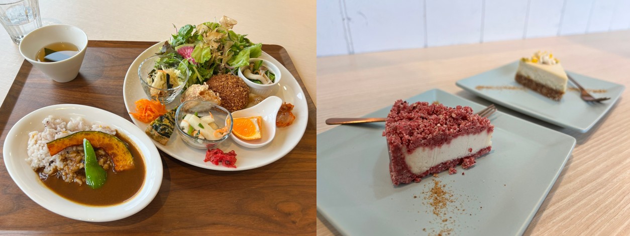 ▲Nongo kitchen的Vegan咖哩和生食蛋糕都好吃得不得了。　記者-徐意雯／攝影