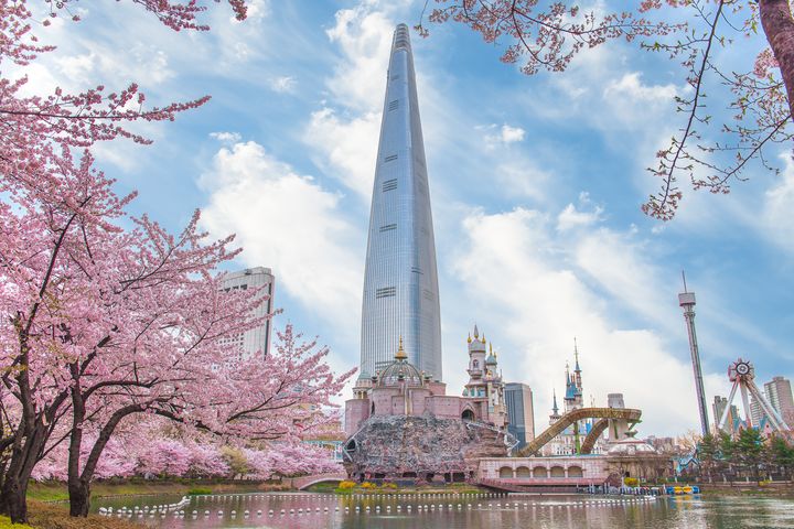樂天世界遊樂園和石村湖櫻花，美不勝收。　圖：shutterstock／來源 