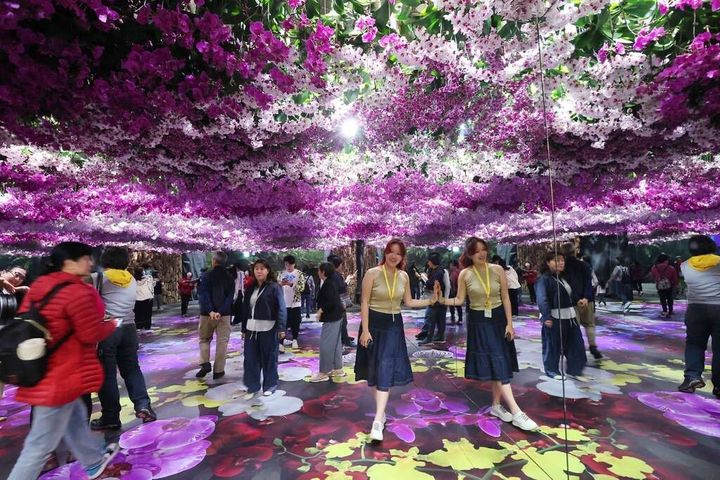 2025台南國際蘭花展03/08-03/23。　圖：台南市政府觀光旅遊局／提供