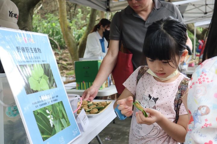 「好野!童樂石光」活動，將帶領小朋友認識野柳的植物生態。　圖：北海岸及觀音山國家風景區管理處／提供