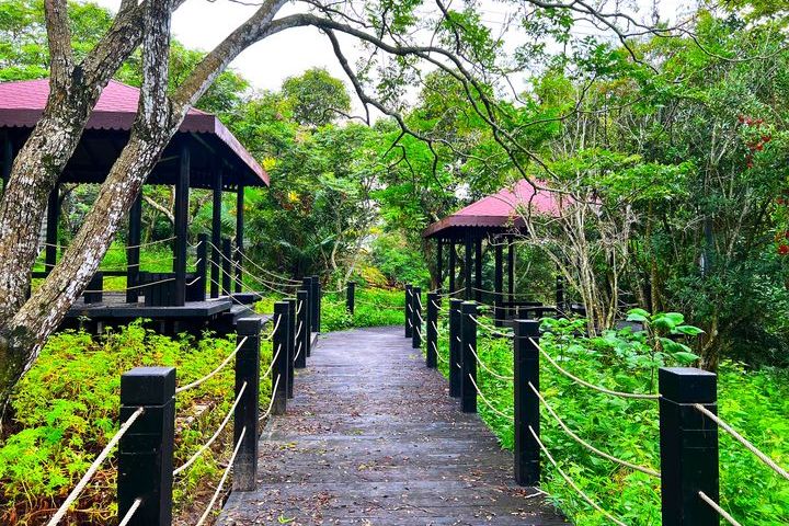 經過整修的涼亭和平台，讓台中大坑1號登山步道體訓場煥然一新。　圖：臺中市政府觀光旅遊局／提供。