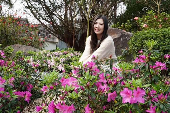 杜鵑花正值滿開，邀請大家至萬里金山賞花。　圖：新北市政府農業局 ／提供