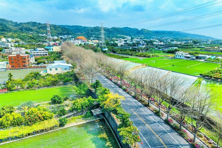 ▲社頭杜鵑花大道。　圖：彰化縣政府城市暨觀光發展處／提供