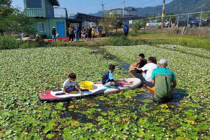 在水草池體驗漿板觀察濕地。　圖：美濃湖水雉復育工作站／提供