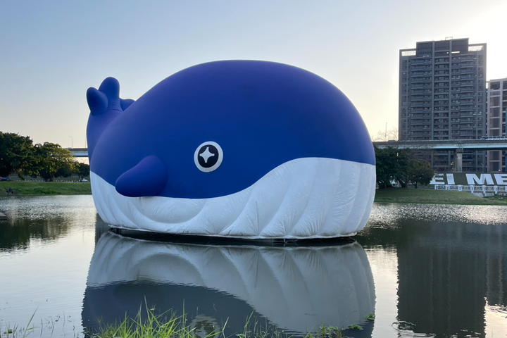 「粉嘻鯨」超萌現身新北大都會公園。　圖：新北市政府觀光旅遊局／提供