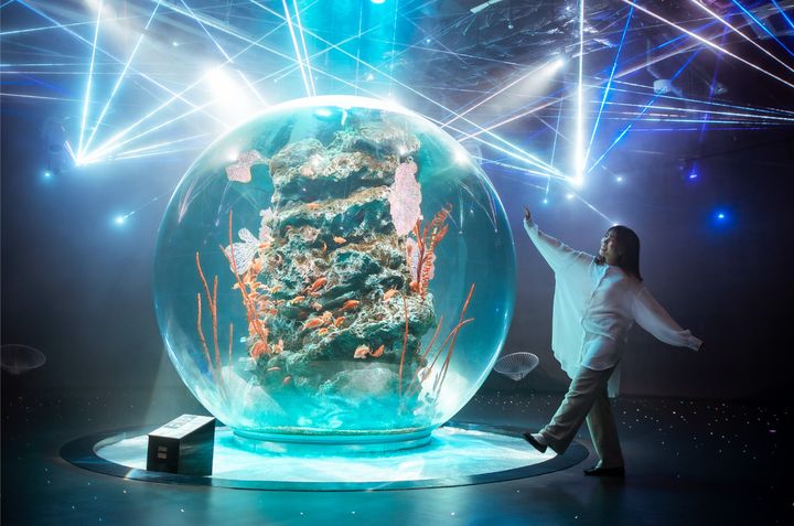 ▲神戶 atōa 藝術水族館是打卡熱門景點。　圖：太平洋旅行社／提供