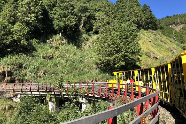 ▲太平山蹦蹦車。　圖：農業部林業及自然保育署／提供