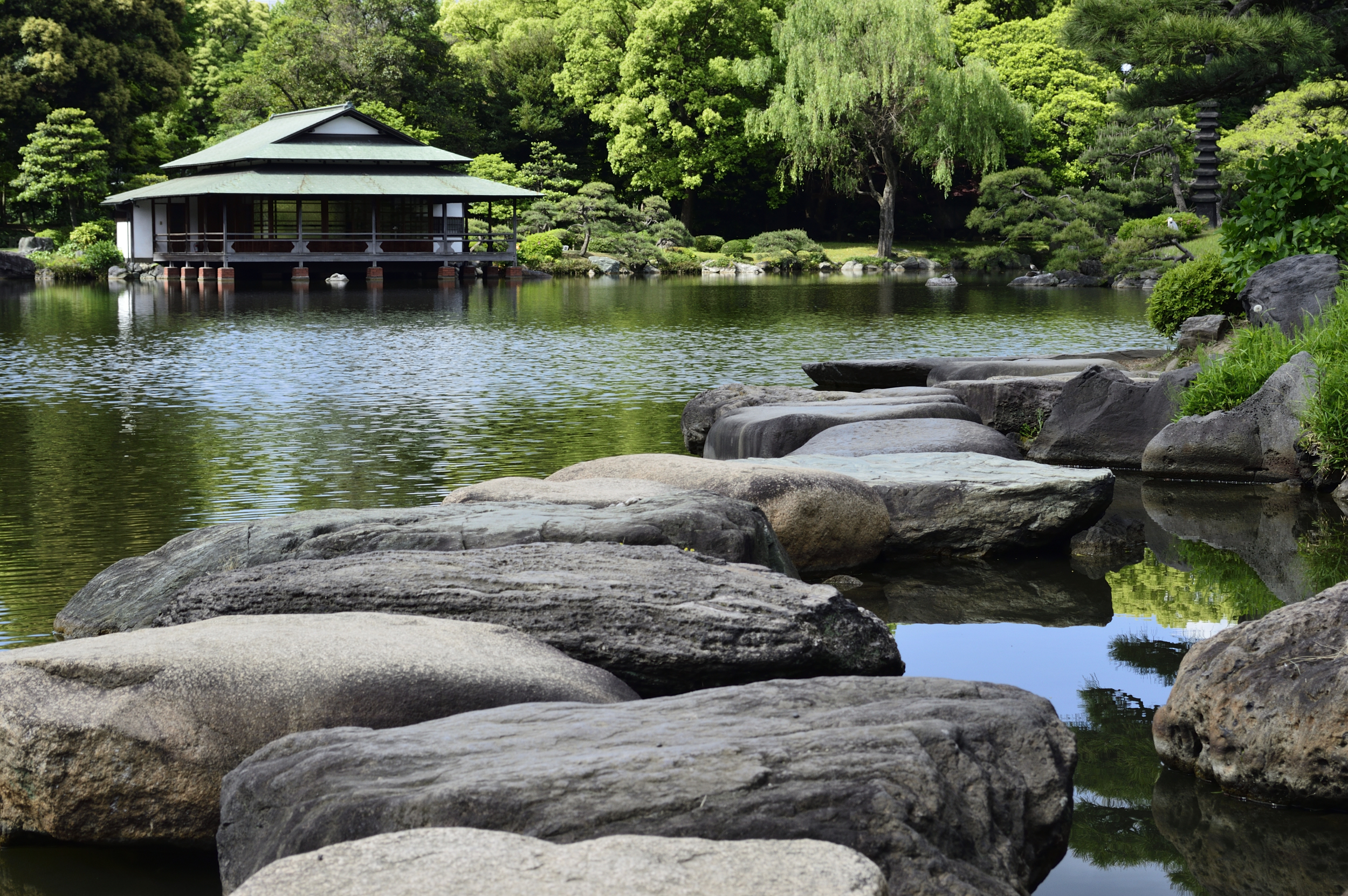 ▲清澄庭園的特色之一是來自日本各地的名石，與池水相映成趣。　圖：©Tokyo Metropolitan Park Association／提供