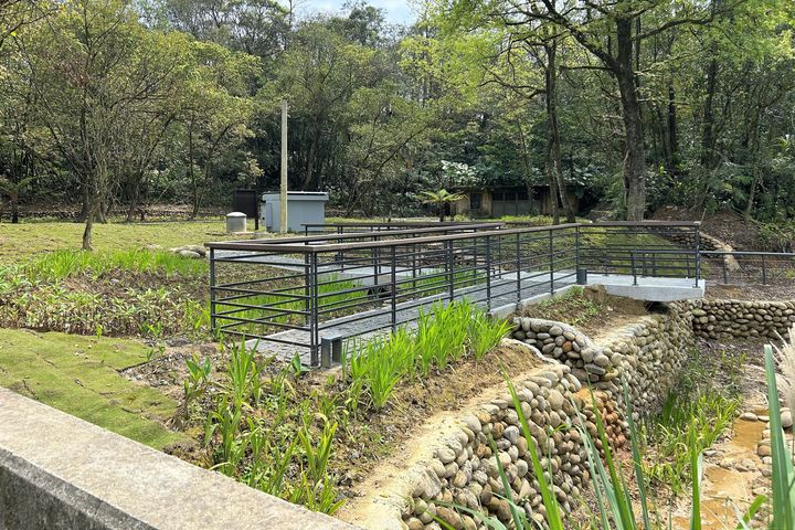 ▲為重現螢火蟲棲地，利用既有低窪池體，提供生長空間。　圖：新北市政府觀光旅遊局／提供