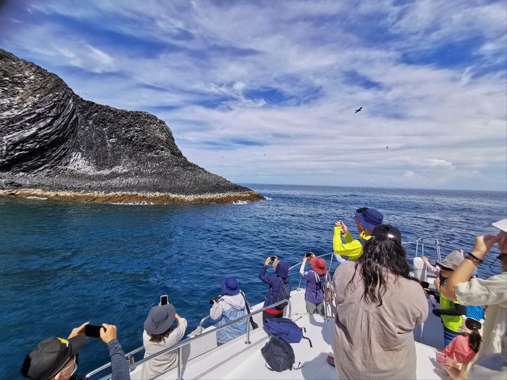 ▲澎管處規劃「南海賞鷗」與「東北海賞鷗」兩條經典航線，帶領旅客體驗澎湖最純淨的自然秘境。　圖：澎湖國家風景區管理處／提供