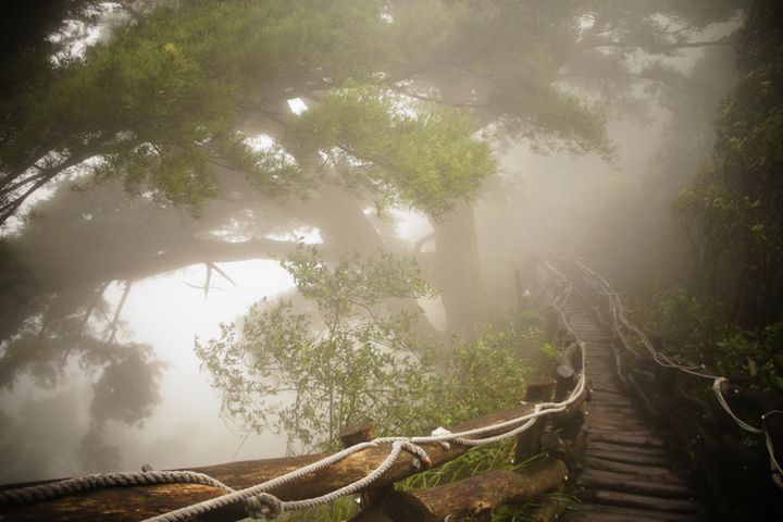 ▲5號步道能感受到萬里晴朗及雲霧繚繞。　圖：台中市政府觀光旅遊局／提供