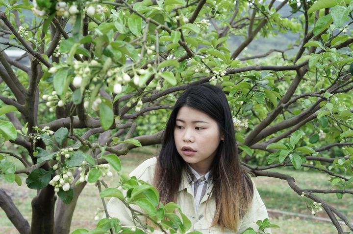 ▲雪白柚花清香四溢。　圖：新北市政府農業局／提供