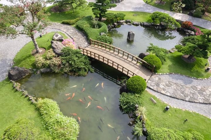 成美文化園的「和園」，有台版日本兼六園的美譽。　圖：成美文化園官方臉書／提供