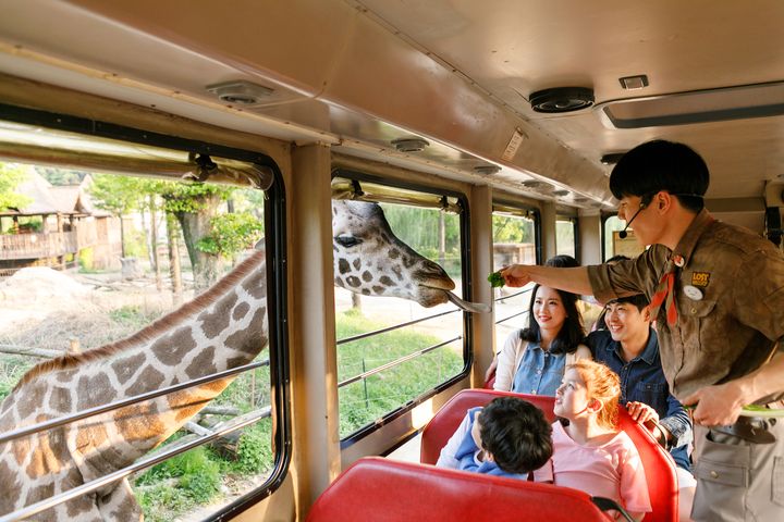 ▲大人小孩都喜歡的愛寶樂園，除了主題樂園還有綜合自然野生動物園。　圖：東南旅遊／提供