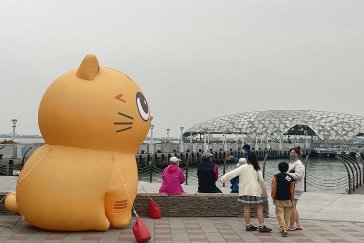 超人氣 IP「黃阿瑪的後宮生活」，打造全台最療癒的「海洋喵喵派對」。　圖：大鵬灣國家風景區管理處／提供