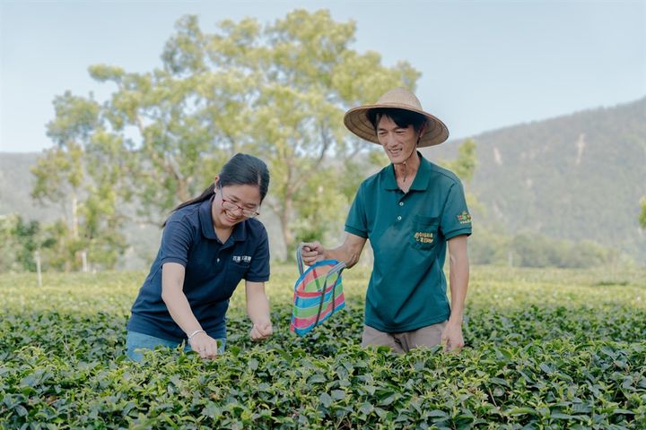 ▲提供導覽與農事體驗，「清優嶺體驗農園」讓旅人親近作物、理解產地文化，實踐「邊玩邊學」的深度旅遊形。　圖：花東縱谷國家風景區管理處／提供