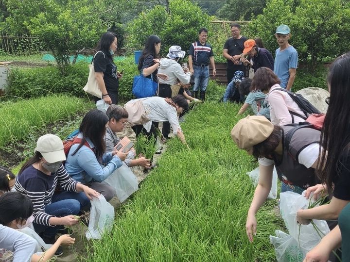 ▲平溪農會推出多項體驗活動。　圖：新北市政府農業局／提供