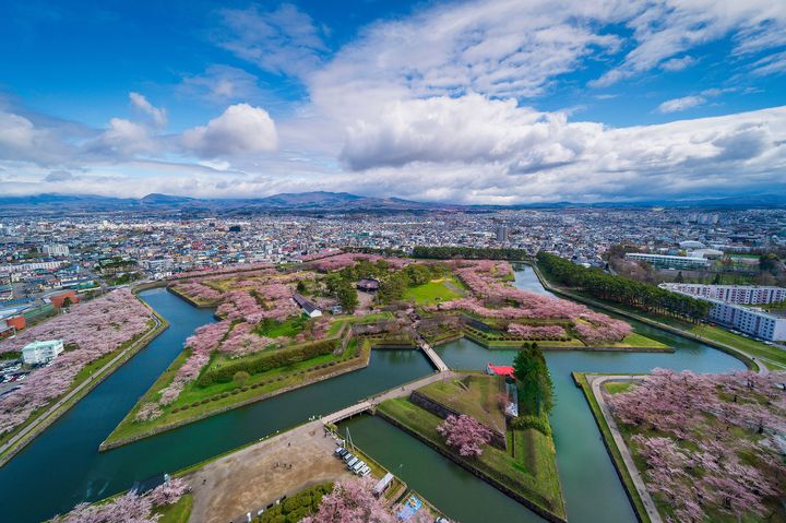 Agoda 公布北海道櫻花景點；圖為五稜郭公園。　圖：Agoda／提供