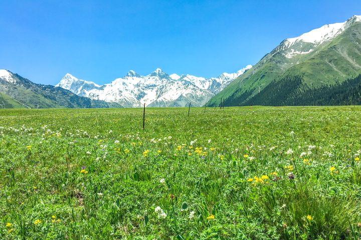 ▲新疆昭蘇縣西塔古冰川，雪山映草原。　圖：shutterstock／來源