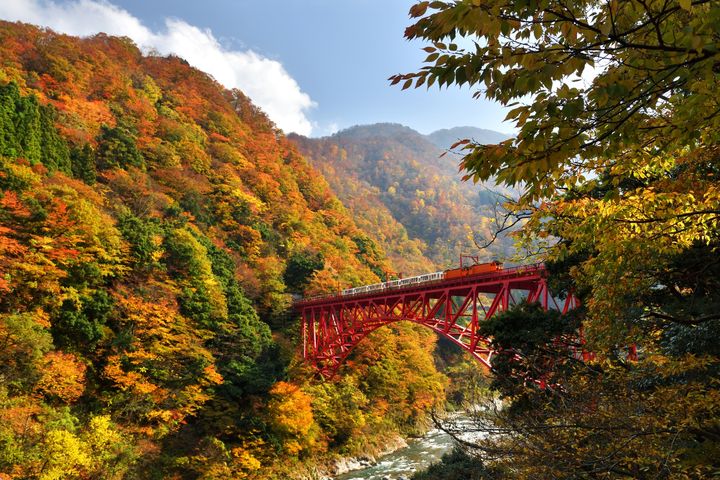 ▲05/03~11/30憑阿里山林業鐵路「遊樂區內支線周遊二日券」及護照，可免費兌換黑部峽谷鐵道「宇奈月－貓又」或「宇奈月－笹平」來回車票。　圖：黑部峽谷鐵道株式會社／提供