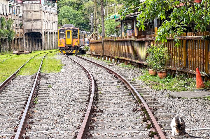 ▲菁桐洗選煤場遺址及火車駛過的景色充滿濃濃懷舊感。　圖：新北市政府觀光旅遊局／提供