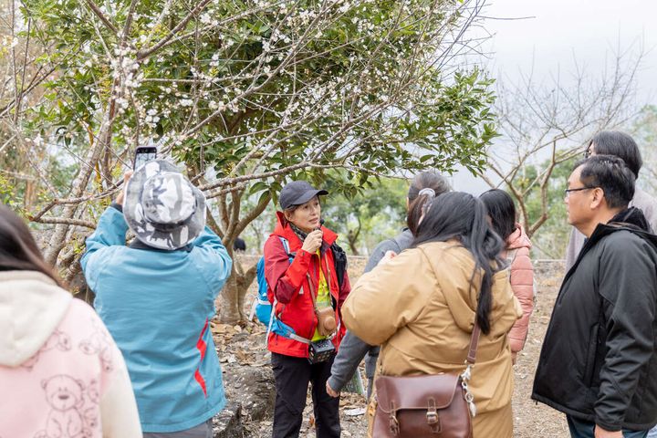▲跟著導覽員了解六龜在地生態。　圖：高雄市政府觀光局／提供