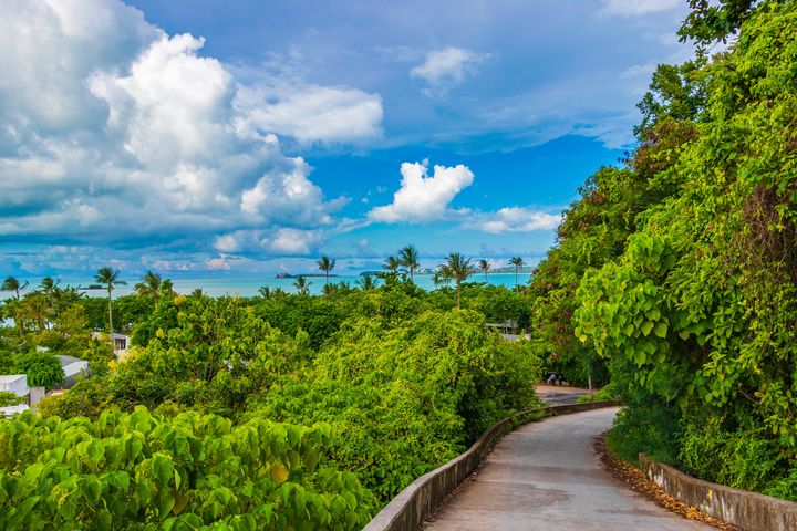 ▲蘇梅島上有許多熱帶風情的自然步道，提供探秘樂趣。　圖：shutterstock／來源