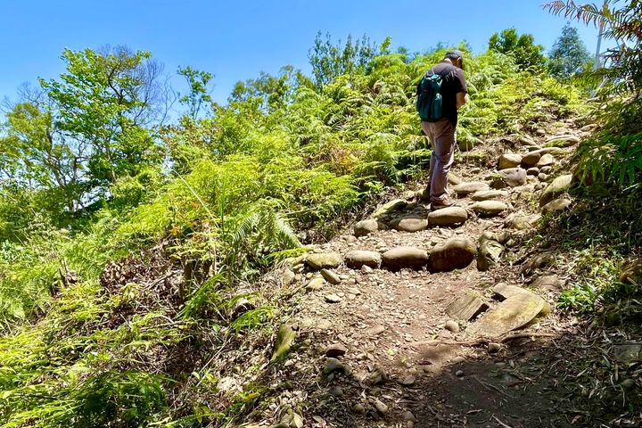 ▲5-1號步道多數路徑採取自然手作工法。　圖：臺中市政府觀光旅遊局／提供