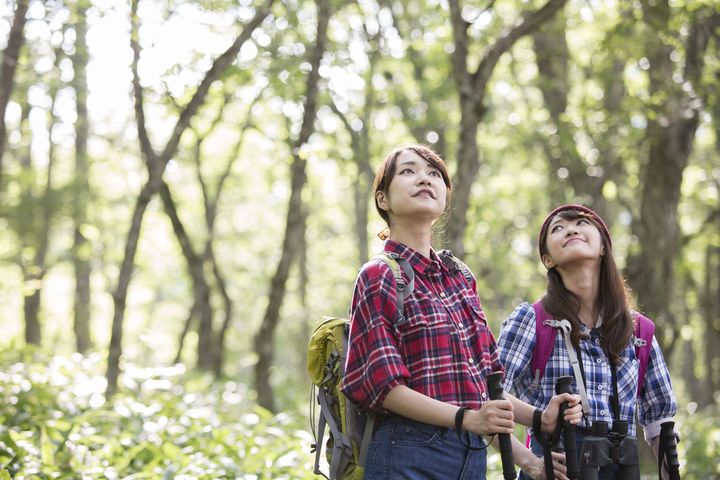 ▲戰場之原有超過350種植物，讓人們感受自然的豐饒。　圖：太平洋旅行社／提供