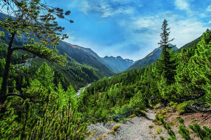 ▲位於下恩加丁地區的瑞士國家公園。　圖：Schweizerischer Nationalpark Hans Lozza／來源