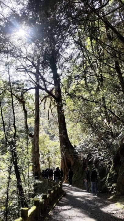▲拉拉山國家森林遊樂區。　圖：林業保育署新竹分署／提供