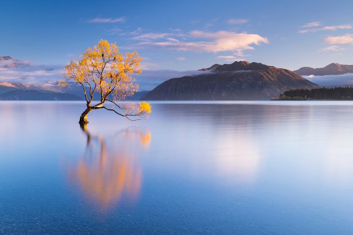 ▲瓦納卡湖最美仙境與孤獨樹。　圖：shutterstock／來源
