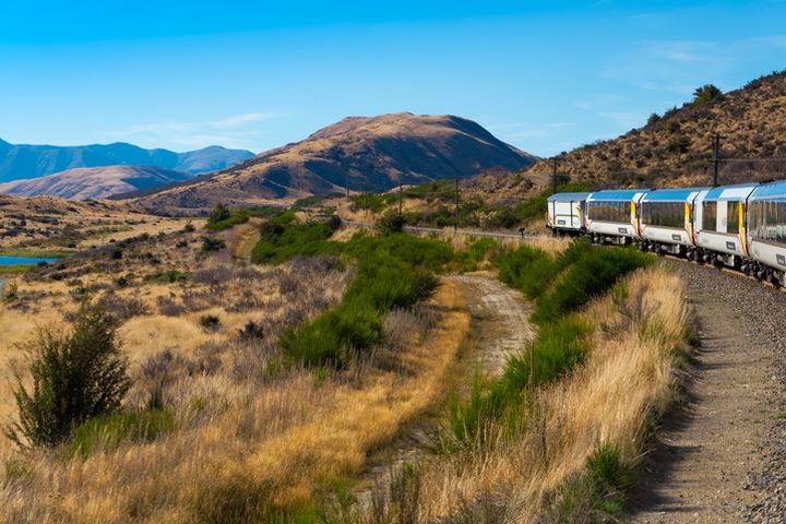 搭乘阿爾卑斯山號高山景觀火車精華段，盡覽紐西蘭當地美好風光。　圖：shutterstock／來源 