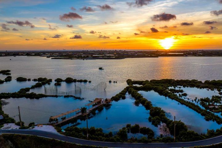 ▲成龍溼地夕照。　圖：交通部觀光署雲嘉南濱海國家風景區管理處／提供