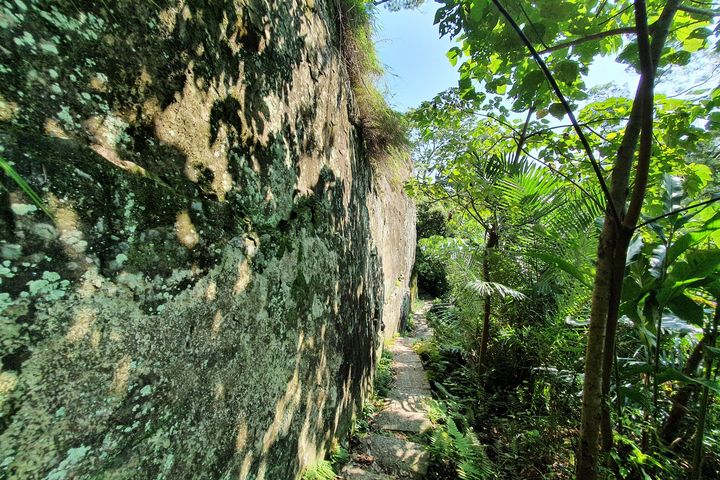 ▲獅頭山步道綠意盎然，林蔭遮蔽，漫步其中清新舒適。　圖：新北市政府觀光旅遊局／提供