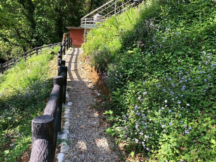 ▲紫東社區環境改善完工，打造為永續旅遊亮點。　圖：新北市政府農業局／提供