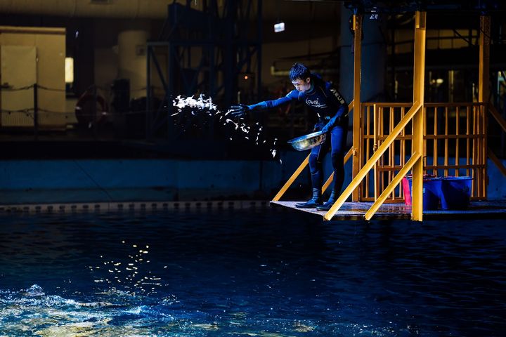 ▲僅限06/08「世界海洋日」當天，凡穿戴與魚類相關配件入館，即可享「魚你同行」九折優惠。　圖：國立海洋生物博物館／提供