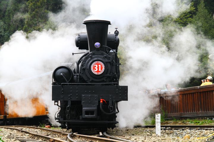 暑期限定，搭乘阿里山百年蒸汽火車遨遊森林、生態與自然景觀的涼夏假期。　圖：阿里山賓館／來源