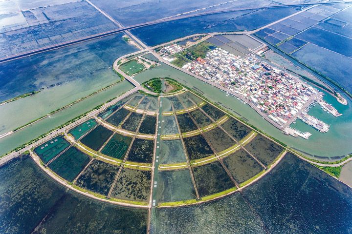 青鯤鯓扇形鹽田。　圖：雲嘉南濱海國家風景區管理處／提供 