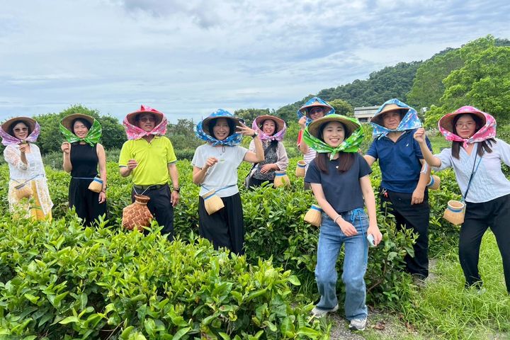 ▲踩線團走訪宜蘭茶園體驗採茶活動，親身感受在地農業文化與自然風光。　圖：臺灣港務股份有限公司／提供
