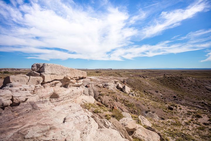 ▲亞利桑那州 Petrified Forest 石化森林國家公園。　圖：美國國家旅遊局／提供  