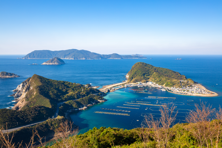 幡多郡大月町柏島，有大規模珊瑚礁在此生長。　圖：shutterstock／來源