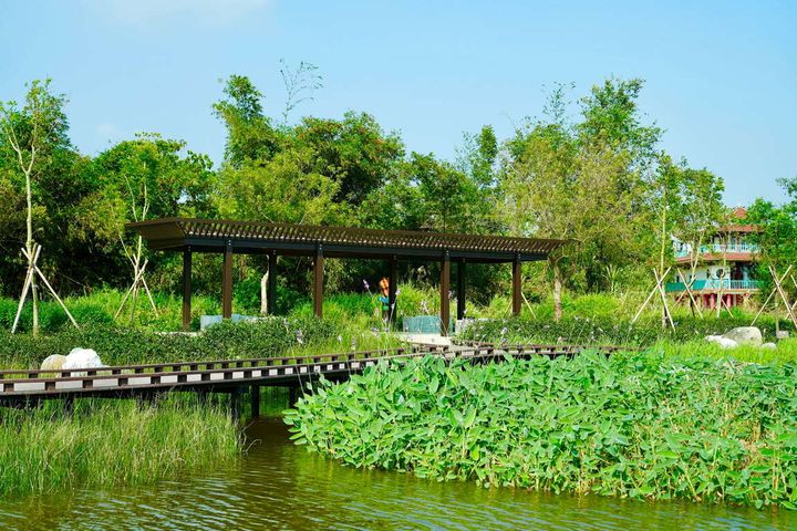 ▲蜻蜓湖岸平台提供休憩節點。　圖：高雄市政府觀光局／提供