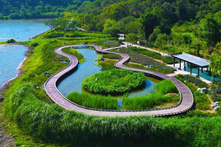 新設高架林間步道。　圖：高雄市政府觀光局／提供 